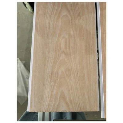 Painéal Uasteorainn PVC Teco PVC